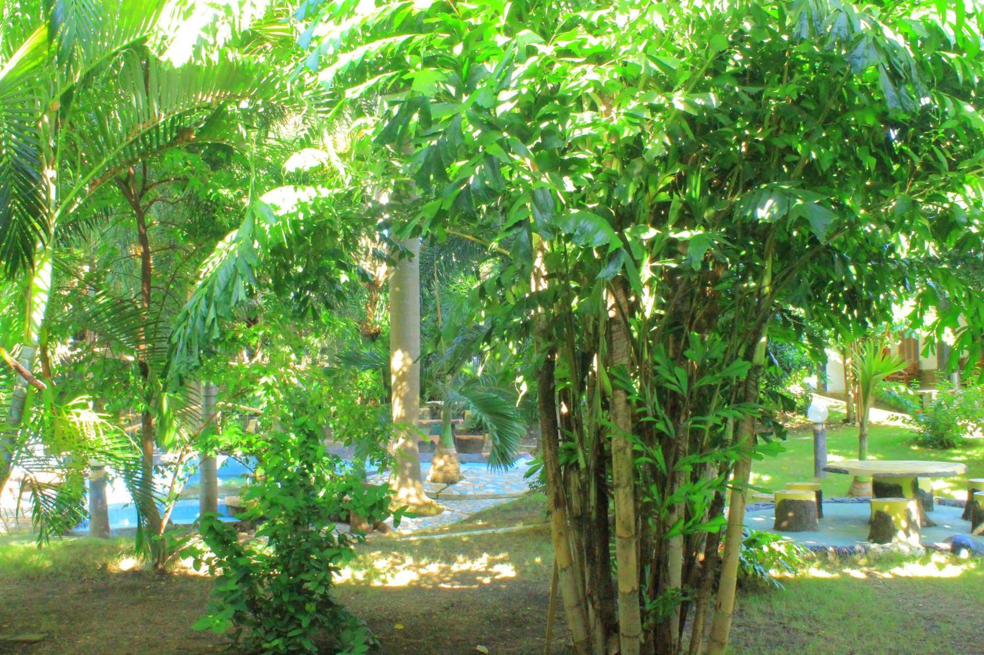 לבואן באג'ו Hotel Green Prundi מראה חיצוני תמונה